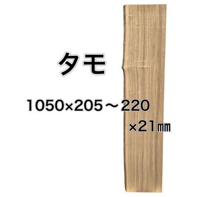 一枚板 天板 DIY 希少 送料込み #1246/221013 パドック 輪切 一枚板 天板 DIY 希少 送料込み #1246/221013 パドック 輪切