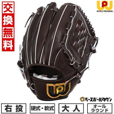ワールドペガサス 硬式グローブ(ポジション:オールラウンド ワールドペガサス 硬式グローブ(ポジション:オールラウンド