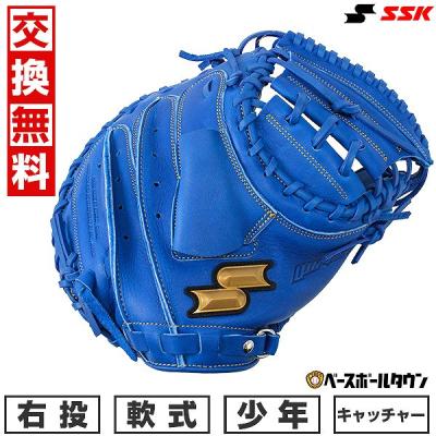 キャッチャーミット 青（スポーツ用品）のおすすめ人気商品一覧