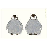 ポストカード あすつく Tajimaデザイン 種の絵柄から選べます シンプルで繊細なラインを描く かめいち堂 動物 オオカミ カメ ペンギン コアラ ウシ ゾウ カエ Kameichido Postcard カフェカーテン トイレマットai 通販 Yahoo ショッピング