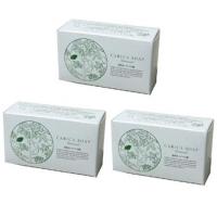 植物性カリカ石鹸　100g　3個セット パパイアの発酵食品である『カリカセラピPS-501』を贅沢に配合 | ビューストア