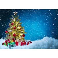 写真撮影用背景布 クリスマスの商品一覧 通販 - Yahoo!ショッピング 写真撮影用背景布 クリスマスの商品一覧 通販 - Yahoo!ショッピング