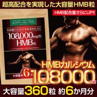 ダイエットサプリ HMB サプリ アミノ酸 大容量 高配合 108000mg 約6