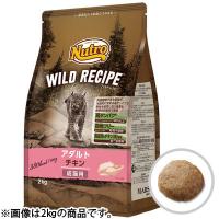 ニュートロ ワイルドレシピ 成猫用 アダルト チキン 1kg | 美髪倶楽部