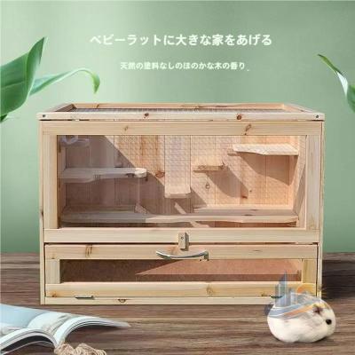 デグー 飼育セット（ペット用品、生き物）の商品一覧 通販 - Yahoo