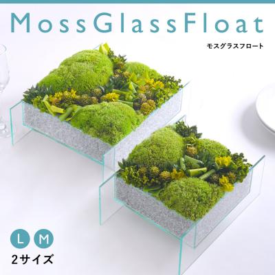 プリザーブドフラワーベルフルール - 苔（Moss）｜Yahoo!ショッピング