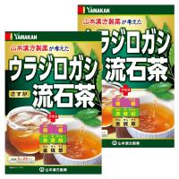 山本漢方 ウラジロガシ流石茶 5g×24包×2個セット 送料無料 | くすりの勉強堂 アネックス