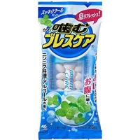 小林製薬 噛むブレスケア スッキリクールミント 25粒 | くすりの勉強堂 アネックス