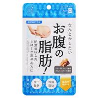 なんとかしたい お腹の脂肪！ 28粒 メール便送料無料 | くすりの勉強堂 アネックス