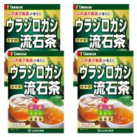 山本漢方 ウラジロガシ流石茶 5g×24包×2個セット 送料無料 | くすりの勉強堂