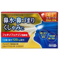 【第2類医薬品】 スカイブブロンHI 60錠 ※セルフメディケーション税制対象商品 送料無料 | くすりの勉強堂