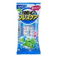 小林製薬 噛むブレスケア スッキリクールミント 25粒 | くすりの勉強堂