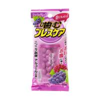 小林製薬 噛むブレスケア ジューシーグレープ　(25粒) メール便送料無料 | くすりの勉強堂