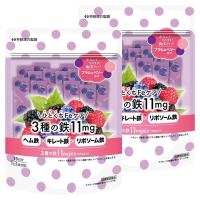 ひとくちFeケア 3種の鉄11mg 15日分 1.5g×15袋入×2個セット メール便送料無料 | くすりの勉強堂
