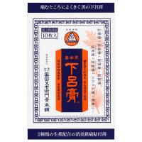 【第3類医薬品】奥田家下呂膏 10枚 メール便送料無料 | くすりの勉強堂