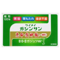 【第2類医薬品】 恵命我神散S 細粒 120包 | くすりの勉強堂