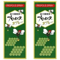 プロポリススプレー 20mL×2個セット メール便送料無料 | くすりの勉強堂