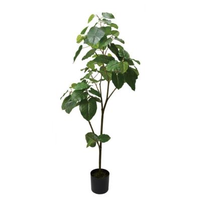 ウンベラータ 180cm（人工観葉、フェイクグリーン） | 花