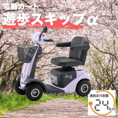 電動カート セリオ（車、バイク、自転車）のおすすめ人気商品一覧 通販