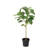 フィカスソフィアポット 116cm アーティフィシャルグリーン 人工観葉植物 簡易鉢付きグリーン VR22091 | ビザインショップ
