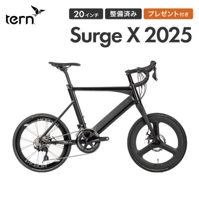 tern SURGE x 純正リヤホイール　Kinetix PRO 20インチ tern SURGE x 純正リヤホイール Kinetix PRO 20インチ tern