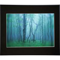 ギヤラリ-AGY-A2-BK ケンコー ギャラリー A2 ブラック AGY-A2-BK | ベスト電器Yahoo!店