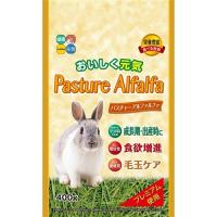 ハイペット パスチャーアルファルファ 400g | ベスト電器Yahoo!店