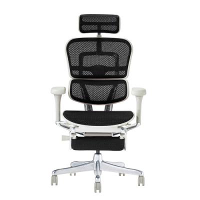 ergohuman ベーシックの商品一覧 通販 - Yahoo!ショッピング
