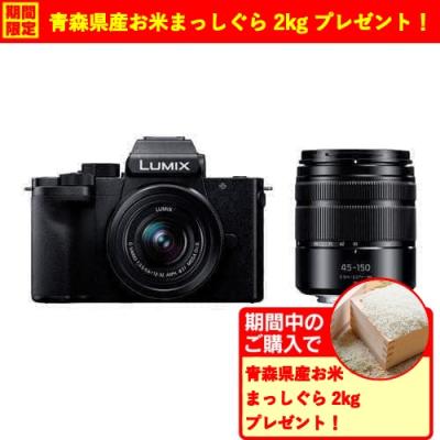 dc-g100dw（LUMIX Gシリーズ）（付属レンズ：レンズキット）のおすすめ