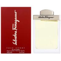 フェラガモ プールオム EDT オードトワレ SP 100ml 香水 FERRAGAMO | ベスバ BEST BUY