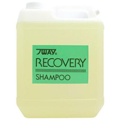 パイウェイ リカバリー シャンプーのおすすめ人気商品一覧 通販