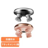 PHILIPS ヘッドケア ヘッドスパ 頭皮ブラシ 頭皮マッサージ マッサージ 防水 防塵 軽量設計 PPM1301DG ミニヘッドケアブラシ PPM1301DG PHILIPS | 快適ホームライフ Yahoo!店