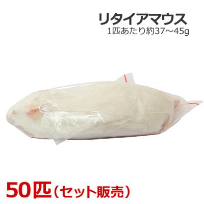 冷凍マウス リタイア 50匹セット 送料無料 リタイアマウス | ネズミ屋さん