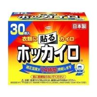 興和 貼る ホッカイロ レギュラー 30個入 | ベストワン