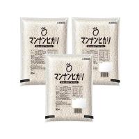 3個セット 大塚食品 マンナンヒカリ 業務用 1kg | ベストワン