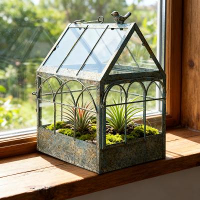 植物ガラス温室のおすすめ人気商品一覧 通販 - Yahoo!ショッピング