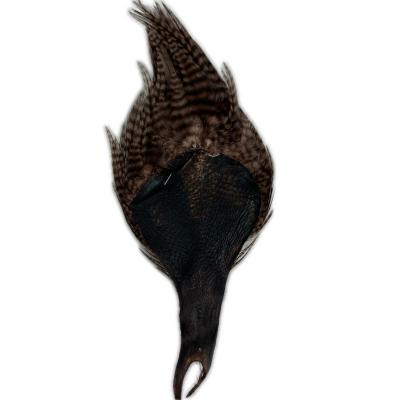 フライ ハックル（釣り） | アウトドア、釣り、旅行用品 のおすすめ