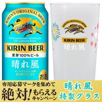2026年1月13日限定発売 晴れ風 ビール beer 送料無料 絶対もらえるキャンペーンカートン キリン 晴れ風 350ml×2ケース/48本(048)『IAS』 | 酒のビッグボス