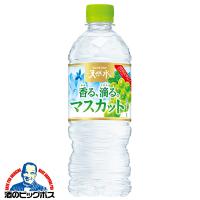 マスカット天然水 送料無料 サントリー天然水 香る 滴る マスカット 540ml×2ケース/48本(048)『GCC』 | 酒のビッグボス