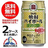 タカラ TaKaRa can 缶チューハイ 酎ハイ サワー 48本 送料無料 宝 焼酎ハイボール ジンジャー 350ml×2ケース/48本(048)『BSH』 | 酒のビッグボス