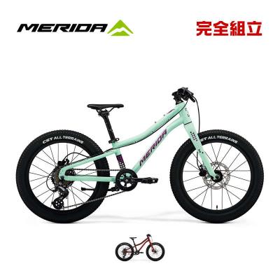 MERIDA（メリダ）子供用本格派マウンテンバイクMATTS J20（マッツ ） MERIDA ( メリダ ) キッズバイク MATTS J.20 ( マッツ ) マット