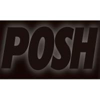 ポッシュ 000720-03 オフセットミラーアダプター M10正ネジP-125ボルト付属 1個入り シルバー | バイクマン 2号店