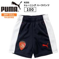 プーマ キッズ トレーニング ハーフパンツ PUMA puma 753155 トレーニング ハーフパンツ | サッカー フットボール  ボーイズ ショート パンツ 半ズボン　 | BIRIGO