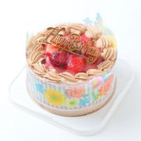バースデーケーキ お誕生日ケーキ スイーツ ケーキ チョコ生苺ケーキ４号 