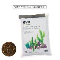 多肉植物 専用 用土 さぼてん 根腐れしにくい ゼオライト 配合 サボテンの土 5l Pg ガーデン用品屋さん 通販 Yahoo ショッピング