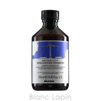 ダヴィネス DAVINES ナチュラルテック シャンプーR 250ml [279327/256540] | BLANC LAPIN