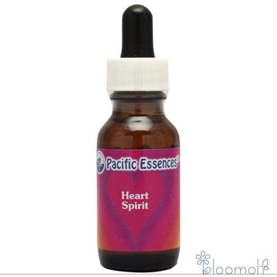 フラワーエッセンス ハートスピリットのおすすめ人気商品一覧 通販
