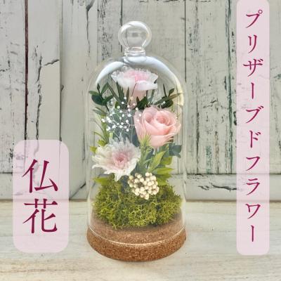 プリザーブドフラワーガラスケース入りのおすすめ人気商品一覧 通販