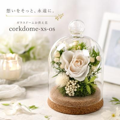 ガラスドーム（プリザーブドフラワー） | 花、ガーデニング の商品一覧