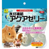 [三晃商会] 水分補給・アクアゼリー 16g×10ヶパック 日本 | BESTWEAR